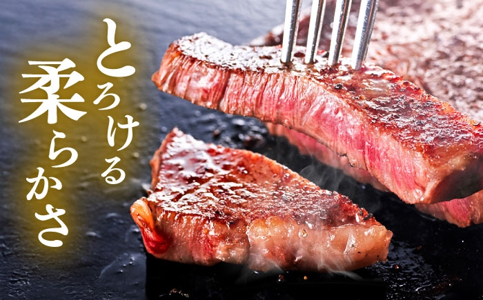 くまもと 黒毛和牛 和王 サーロイン ステーキ 約800g（約200g×4枚）