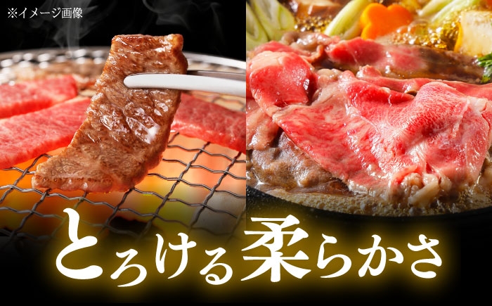 くまもと 黒毛和牛 和王 カルビ 焼肉用・ロース すき焼き用 セット 計約800g（各1P）