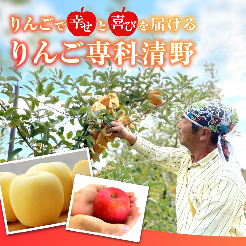 《先行受付》訳あり 大江はるか約3.5kg【2026年12月上旬～発送予定】【大江町産・山形りんご・りんご専科 清野】