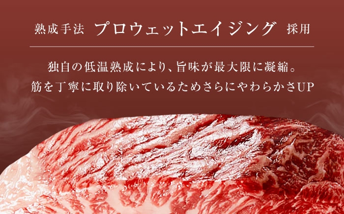 ステーキ お肉 牛肉 ブロック肉 黒毛和牛 和牛 赤身 霜降り 食べ比べ ギフト プレゼント 熟成肉 記念日 ディナー