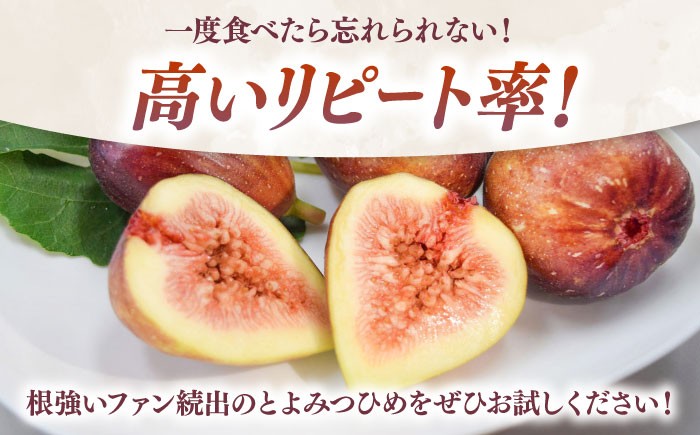 いちじく とよみつひめ 秀品 1.2kg イチジク 無花果 300g×4パック 