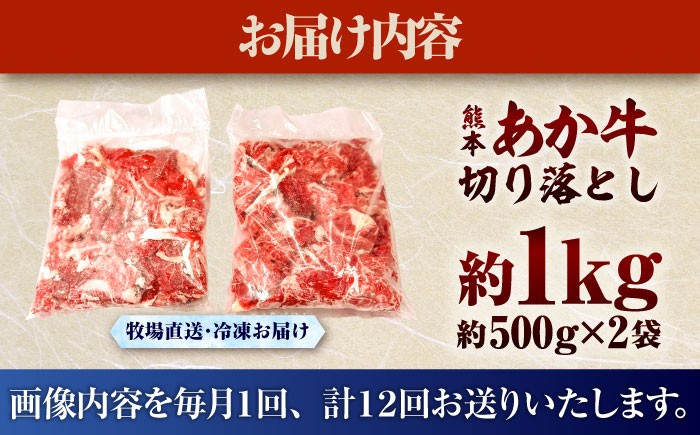 菊陽町 あかうし 熊本県 肉 にく niku ブランド 旨み 定期便
