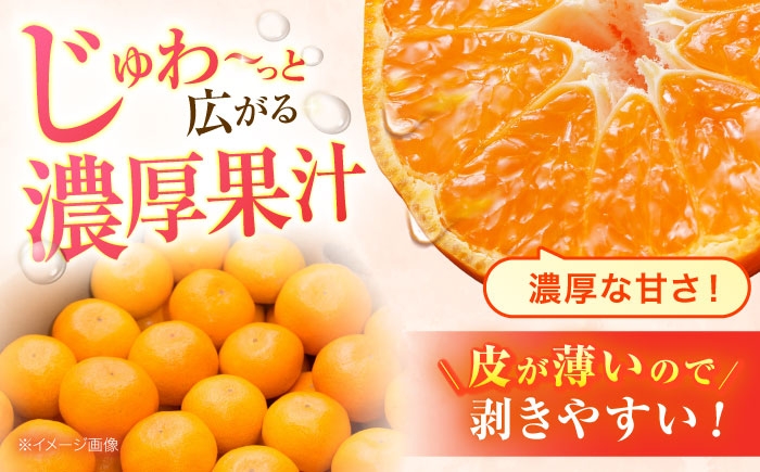 フルーツ ふるーつ フルーツ定期便 果物 果物定期便 くだもの