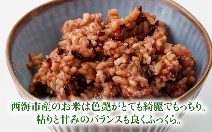 玄米 黒米 パックご飯 米