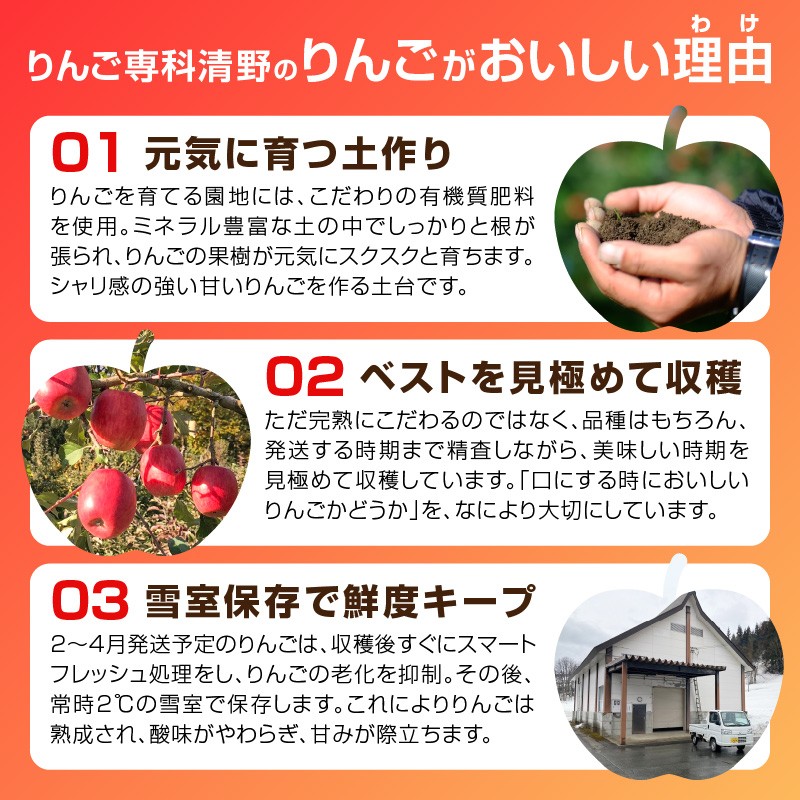 《先行受付》訳あり シナノスイート約10kg（28～46玉）【2026年10月中旬～発送予定】【山形りんご・りんご専科 清野】