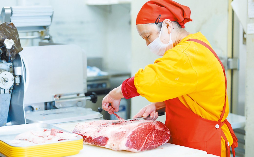 【冷凍 定期便6ヶ月】武藤牧場直売店山嘉 焼肉用お肉 約500g×6回