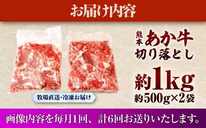 菊陽町 あかうし 熊本県 肉 にく niku ブランド 旨み 定期便