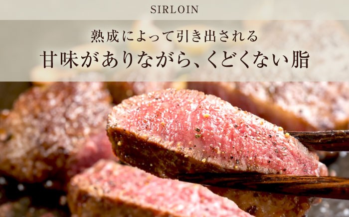 肉 ブロック 牛 A5 牛 赤身  ローストビーフ ステーキ 焼肉 贈答 ギフト