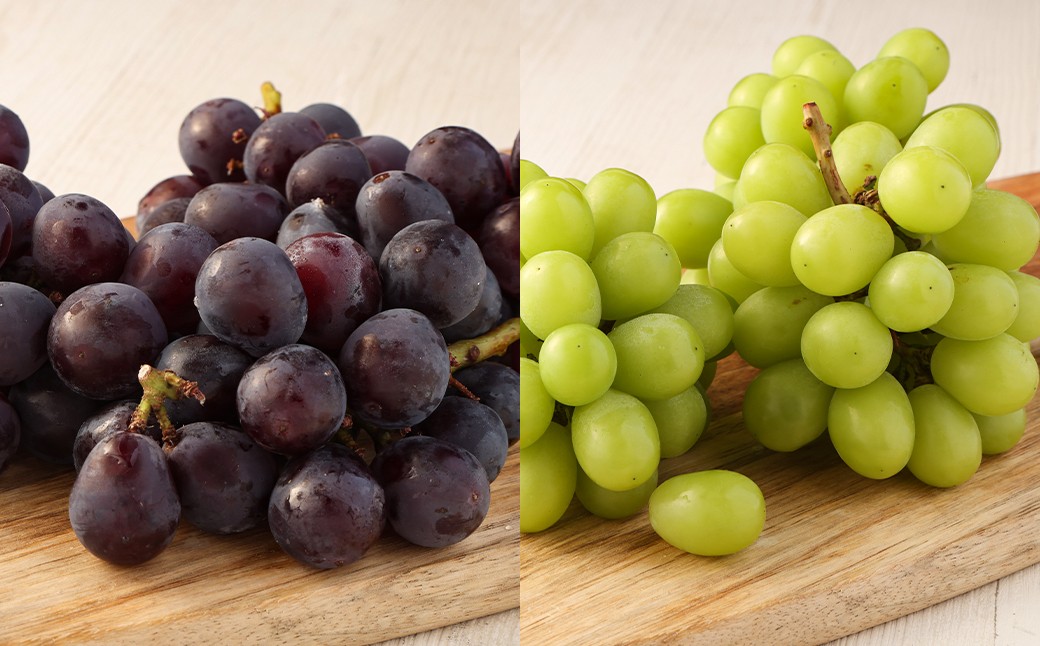 【定期便5回コース】時津の果物定期便 みかんとぶどうの町から贈る 特産品の定期便