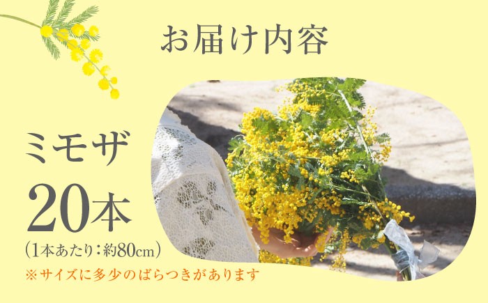 生花 フラワー インテリア 花 お花 花束 ギフト プレゼント ガーデニング