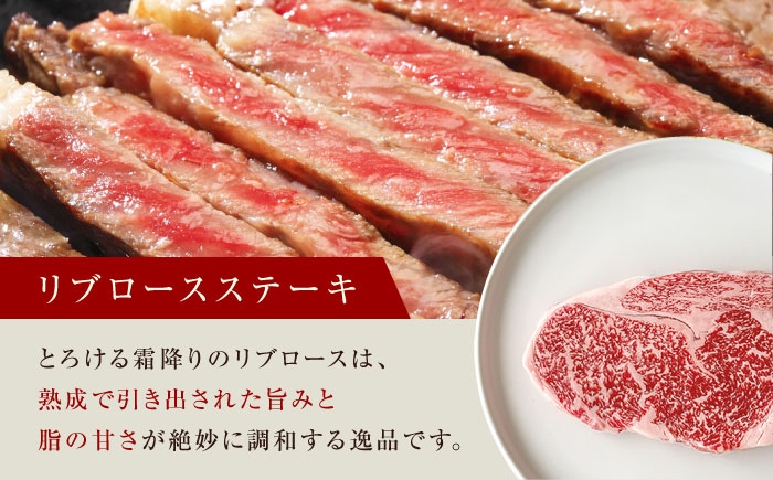 ステーキ お肉 牛肉 ブロック肉 黒毛和牛 和牛 赤身 霜降り 食べ比べ ギフト プレゼント 熟成肉 記念日 ディナー