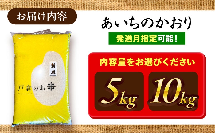 米 お米 5kg 10kg 白米 精米 愛知県産 国産 米 あいちのかおり