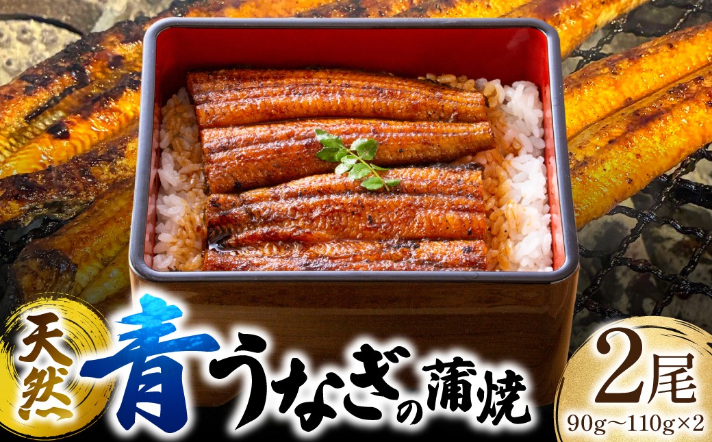 天然青うなぎの蒲焼 2尾
