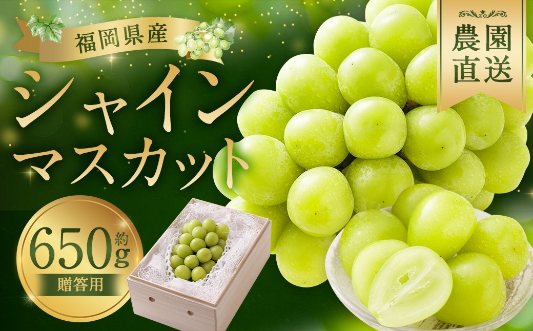【贈答用】福岡県産 シャインマスカット 糖度18度以上・大粒15g以上 桐箱入り 650g前後（1房）