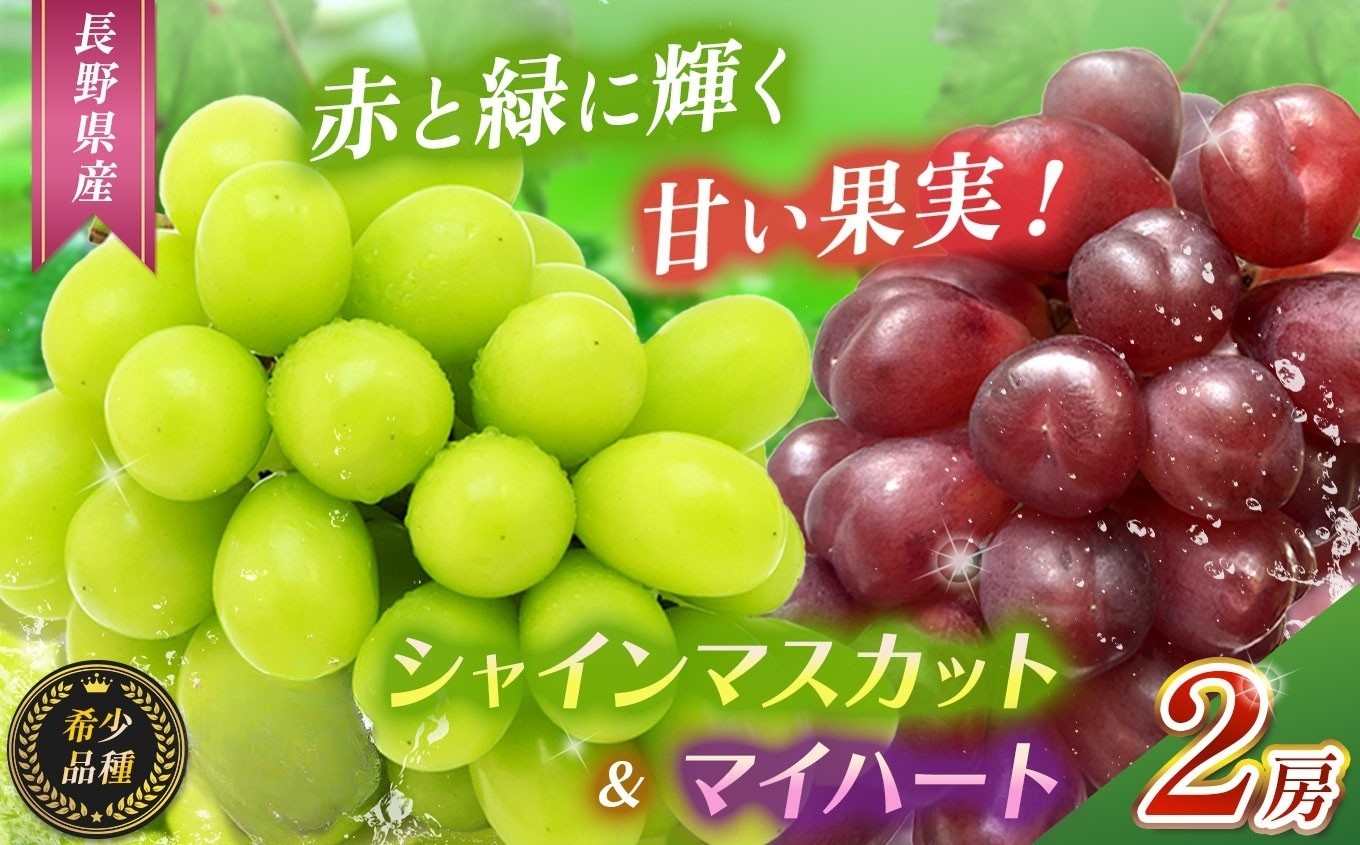 レビュー高評価★信頼の事業者！赤と緑のごちそうぶどう♪
