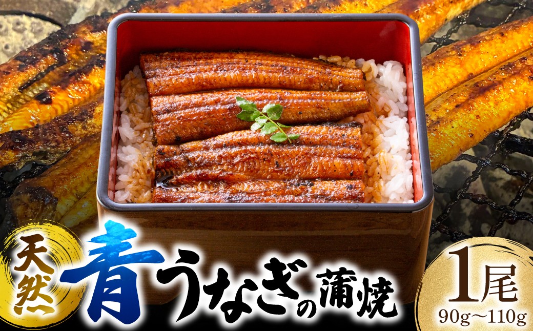 天然青うなぎの蒲焼