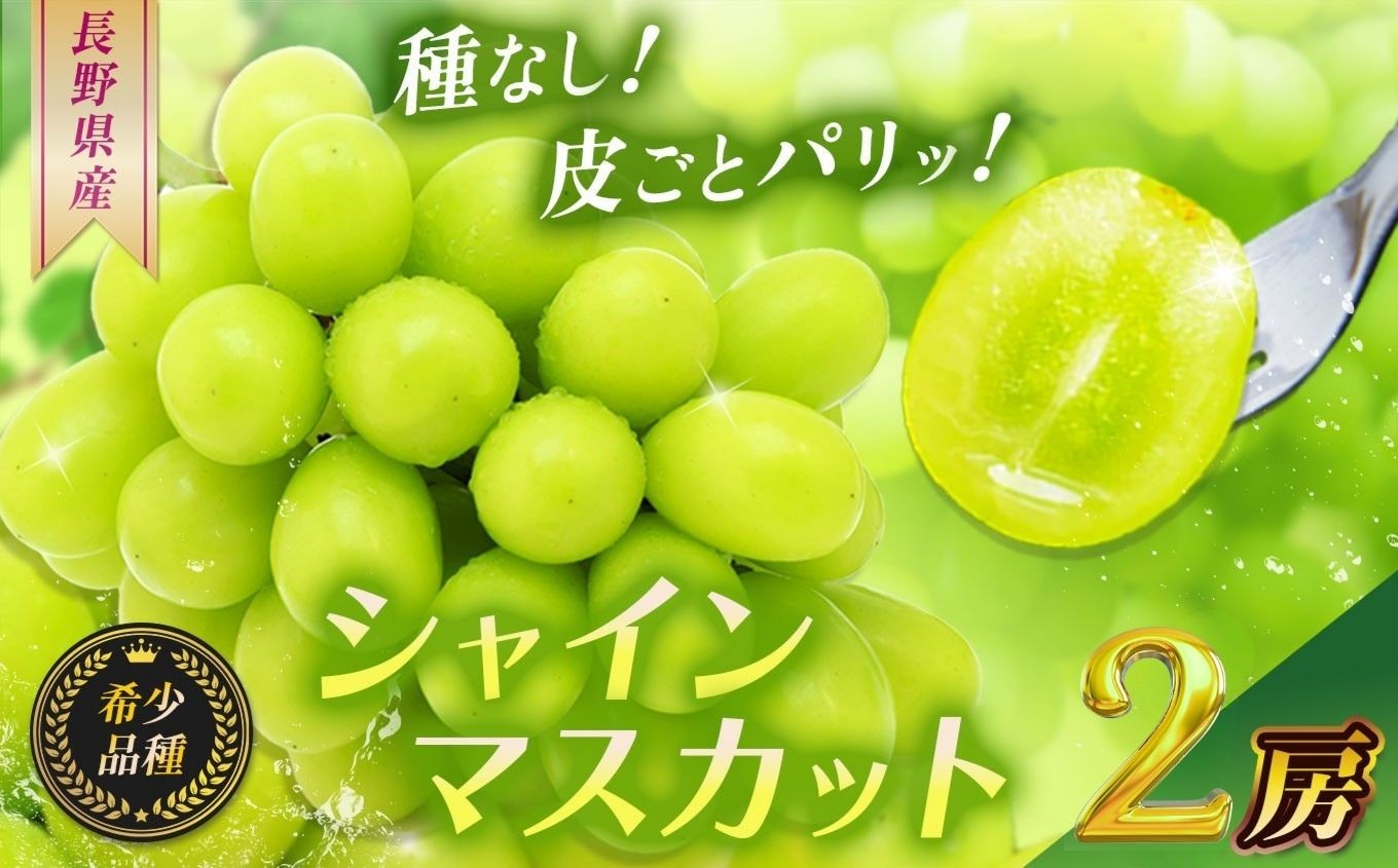 レビュー高評価★信頼の事業者！長野県産シャインマスカット