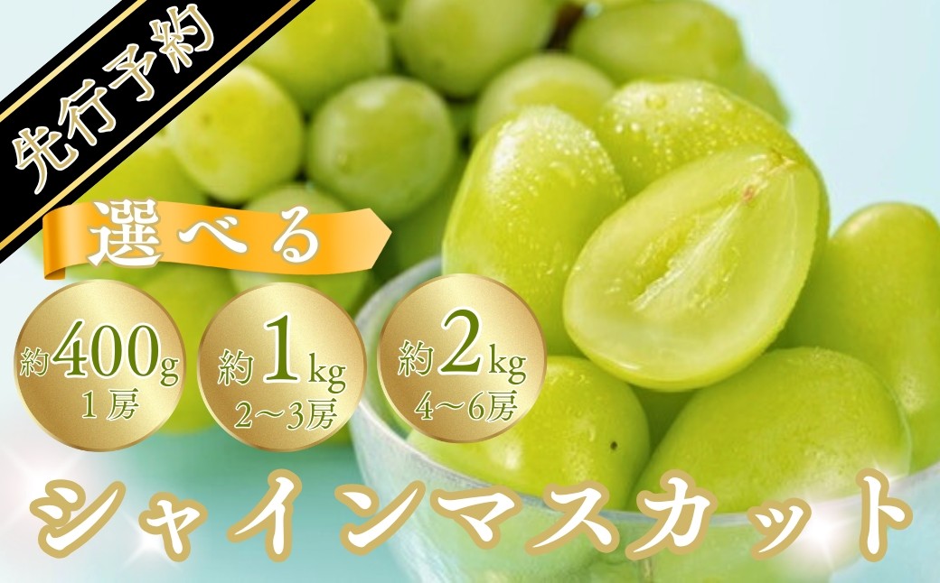 シャインマスカット 約1kg（2~3房）※最低900g以上