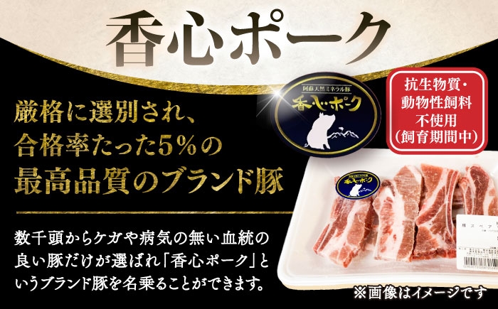 豚肉 ぶたにく ぶた肉 ブタ肉 ブタ ポーク 冷凍 ブランド ブランド豚 菊陽 熊本