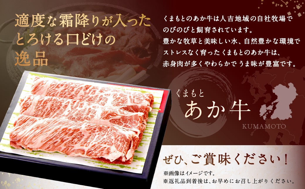 くまもとあか牛 すき焼き （肩ロース使用） 計約500g（約250g×2