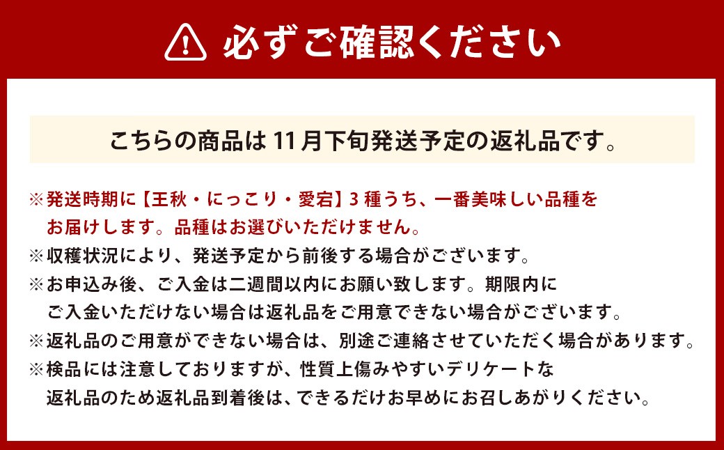 浅岡農園の梨 約5kg