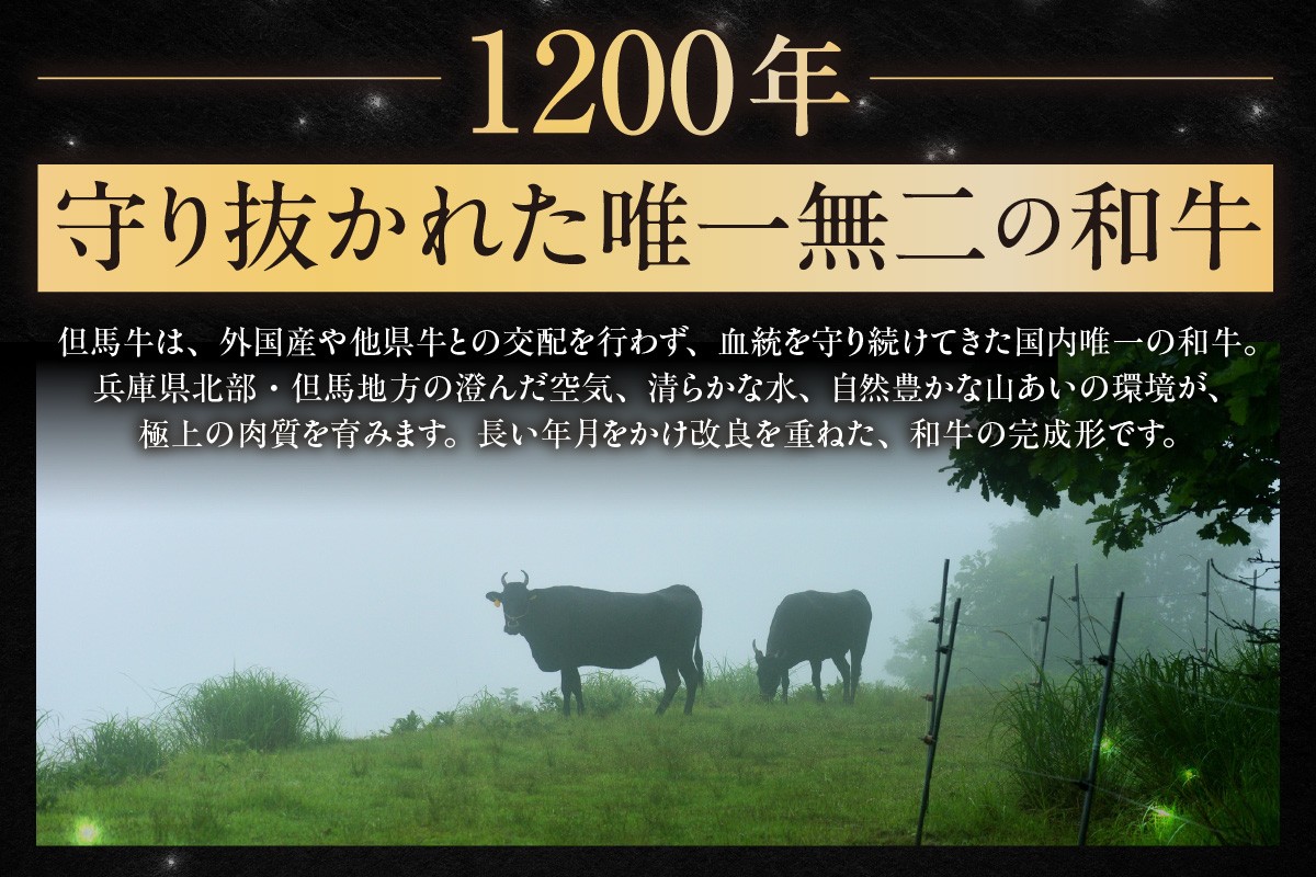但馬牛は、兵庫県北部（但馬地方）の山中の新鮮な空気、清らかな渓流、野草に恵まれた自然環境で育まれます。