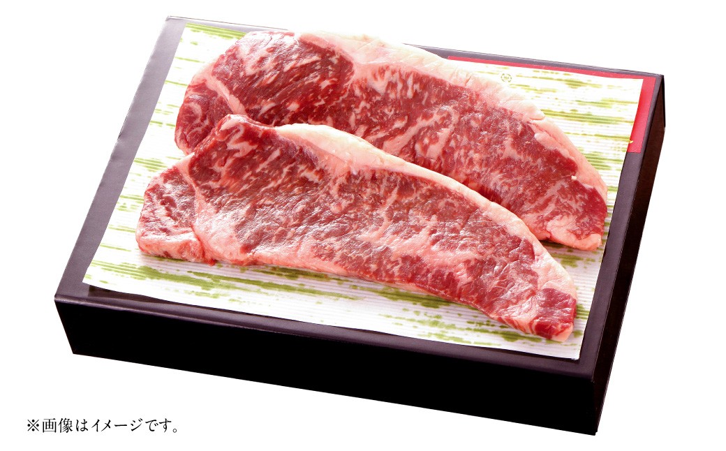 くまもとあか牛 サーロインステーキ 約500g （約250g×2）