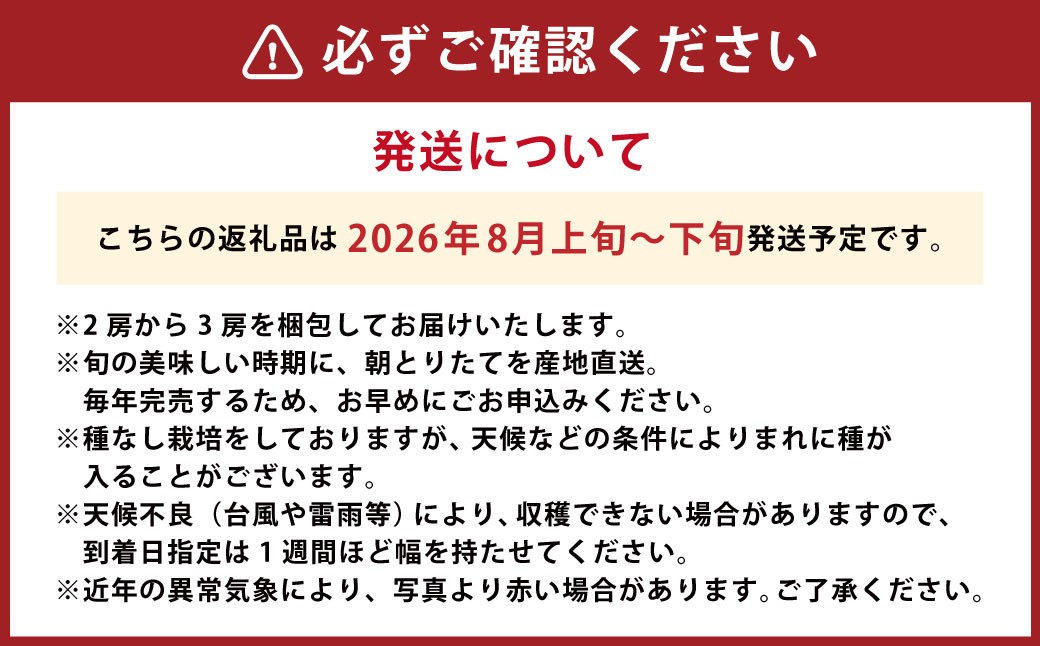 やりみず農園 種なし 巨峰 2〜3房（約1kg）
