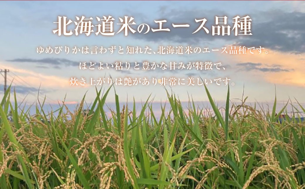 ゆめぴりか （精白米） 10kg×2袋 20kg