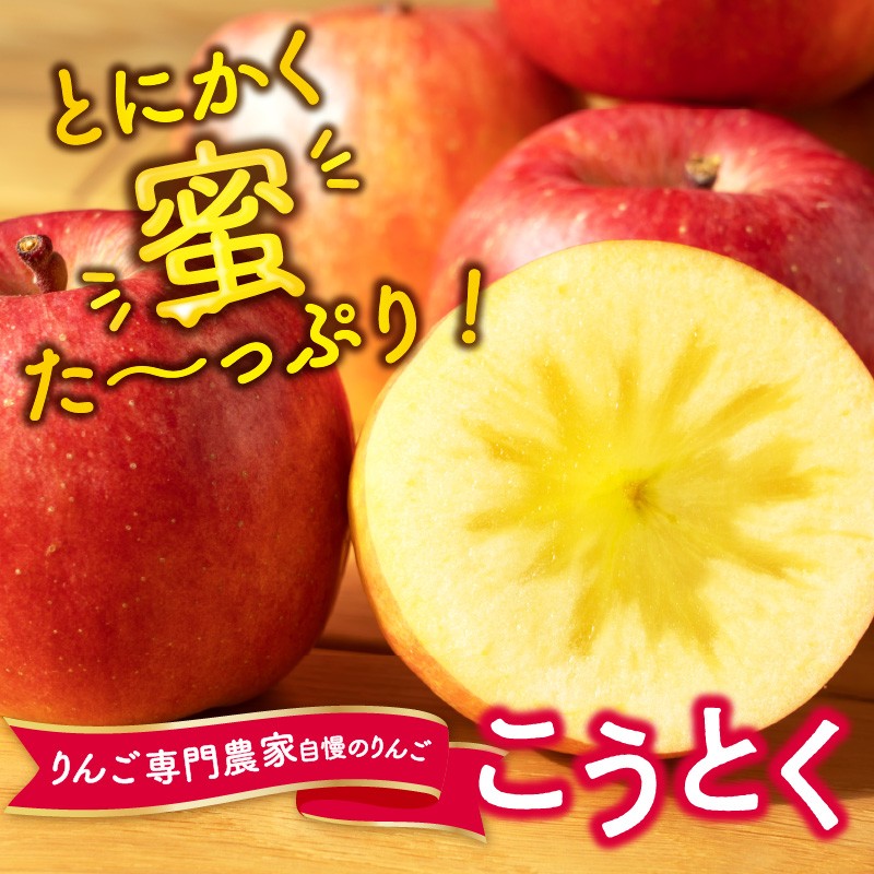 《先行受付》特選こうとくりんご約2.5kg 【2026年11月中旬頃～発送予定】【山形りんご・大地農産・11月・12月】