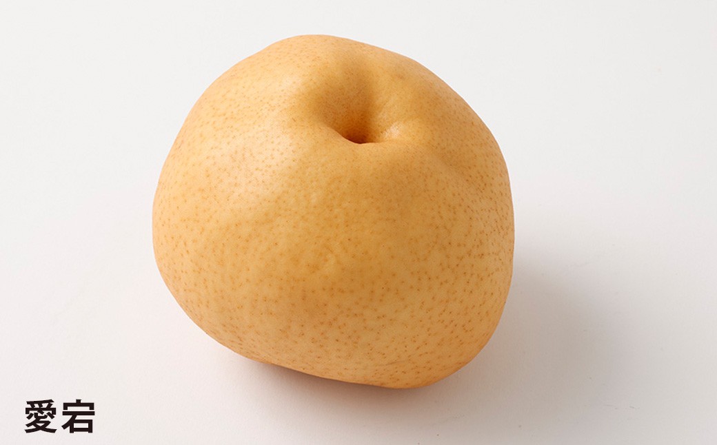 浅岡農園の梨 約10kg