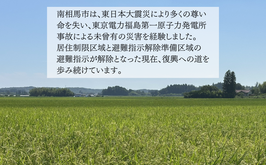 ワイン2本セット メルロー(赤)＋シャルドネ(白) | ワイン 国産 日本ワイン お中元 お歳暮 母の日 父の日