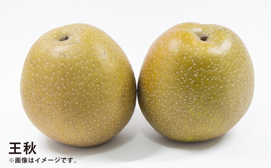 浅岡農園の梨 約5kg