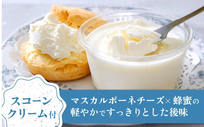 スコーン お菓子 おやつ スイーツ ギフト セット 洋菓子 焼菓子 個包装