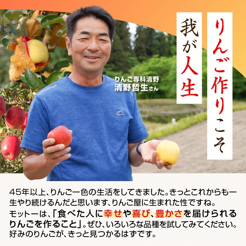 《先行受付》贈答規格 蜜入りこうとくりんご約3kg 特秀～秀【2026年11月上旬～発送予定】【山形りんご・りんご専科 清野】