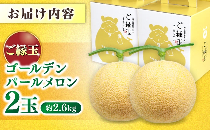 メロン めろん ご縁 果物 くだもの フルーツ 甘い デザート 贈答 ギフト プレゼント 産直 産地直送 ゴールデン 2玉