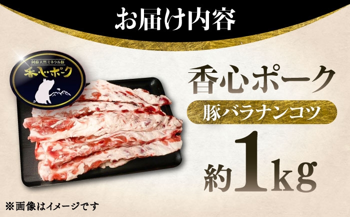 豚肉 ぶたにく ぶた肉 ブタ肉 ブタ ポーク 冷凍 ブランド ブランド豚 菊陽 熊本