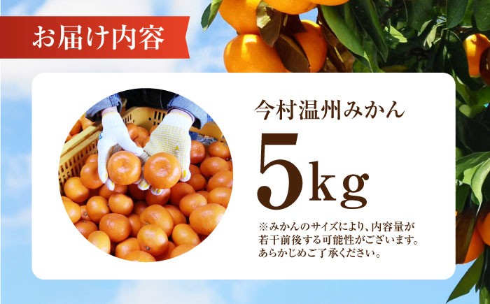「今村温州みかん」5kg みかん ミカン 蜜柑 柑橘 フルーツ ふるーつ 果物 くだもの 温州みかん 温州ミカン かんきつ 国産