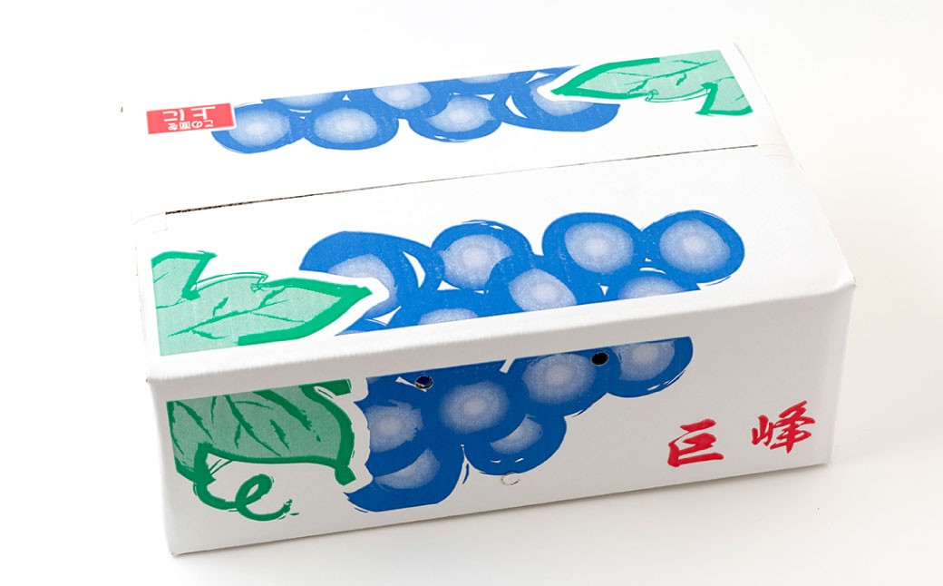 やりみず農園 種なし 巨峰 2〜3房（約1kg）