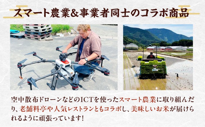 お米 ヒノヒカリ 10kg（10kg×1袋）米・食味鑑定士×お米ソムリエ×白米ソムリエ