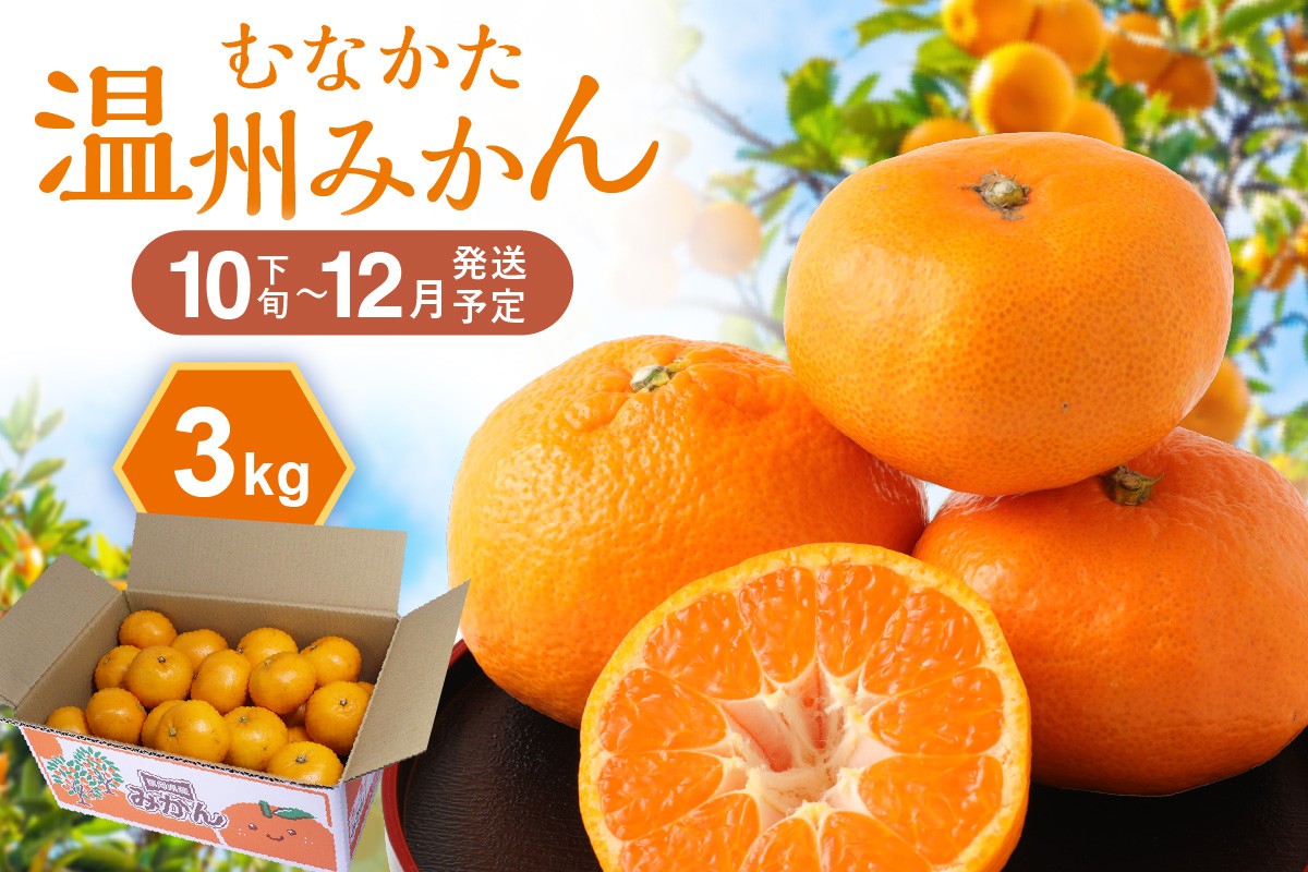 JAむなかたブランド「姫の神」3kg
