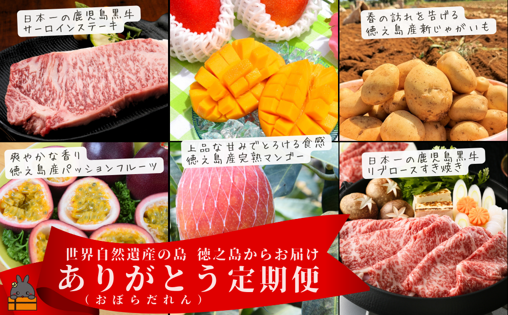 徳之島の美味しい定期便　日本一の鹿児島黒牛や完熟マンゴー・パッションフルーツ・新じゃがいも！ぜひご堪能ください！