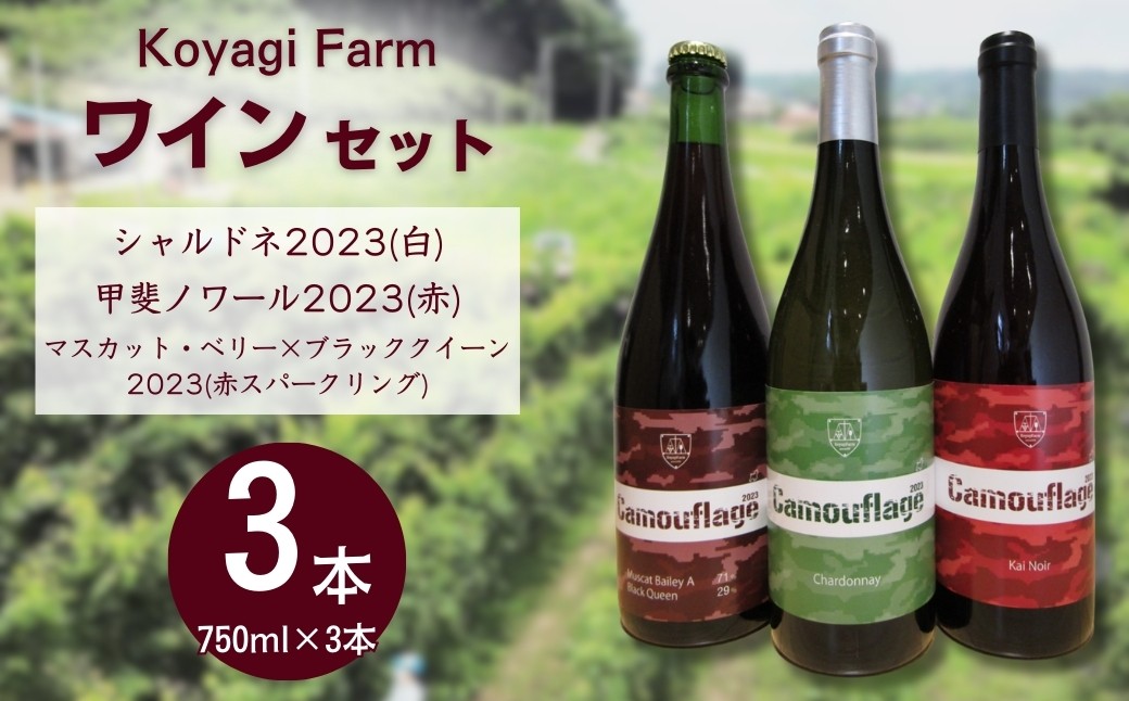 ワイン3本セット シャルドネ(白)＋甲斐ノワール＋マスカット・ベリー×ブラッククイーン(赤スパークリング) | ワイン 国産