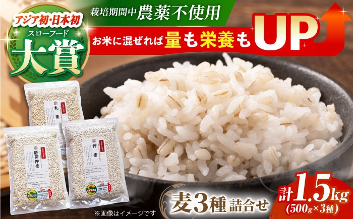 麦 雑穀 雑穀米 麦ごはん 1等麦 特別栽培農産物 佐賀 食物繊維 500g ご飯 食べ比べ セット 健康 健康食品 栄養
