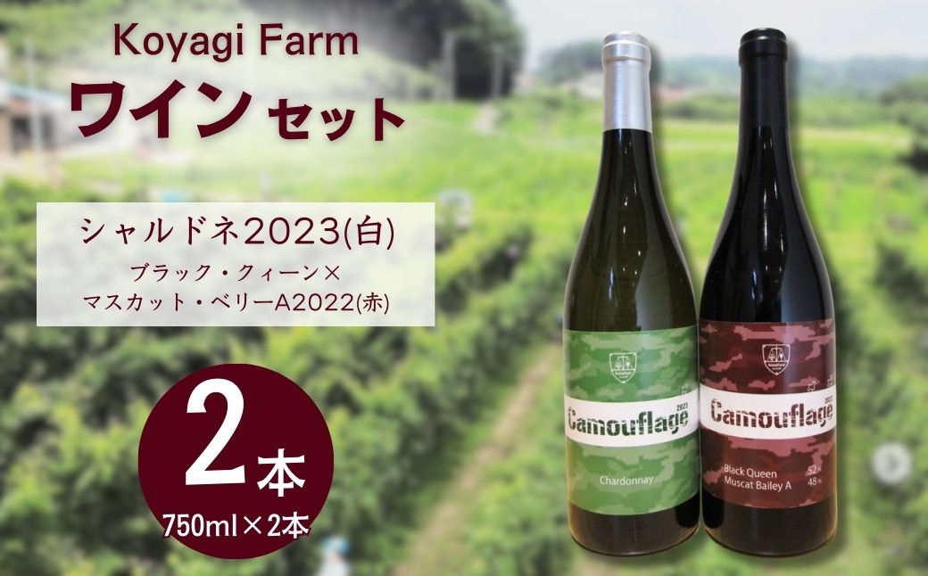 ワイン2本セット ブラック・クィーン×マスカット・ベリーA(赤)＋シャルドネ(白) | ワイン 国産 日本ワイン お中元 お歳暮