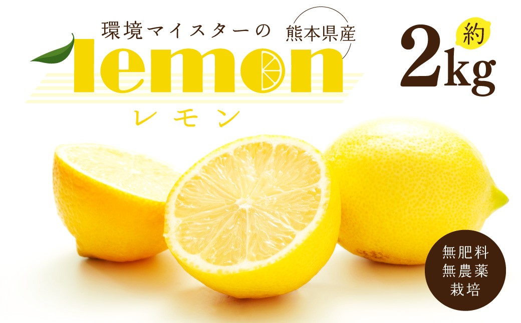 環境マイスターのレモン 2kg（無肥料／栽培期間中農薬を減らして栽培）