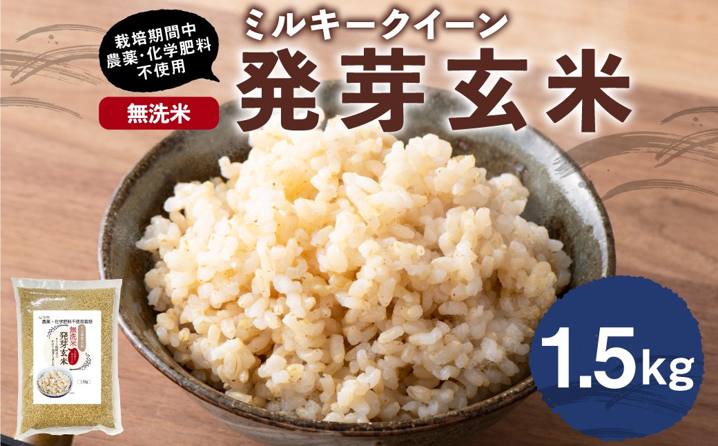 発芽玄米(大分県産ミルキークイーン) 無洗米1.5kg×1袋(1.5kg)