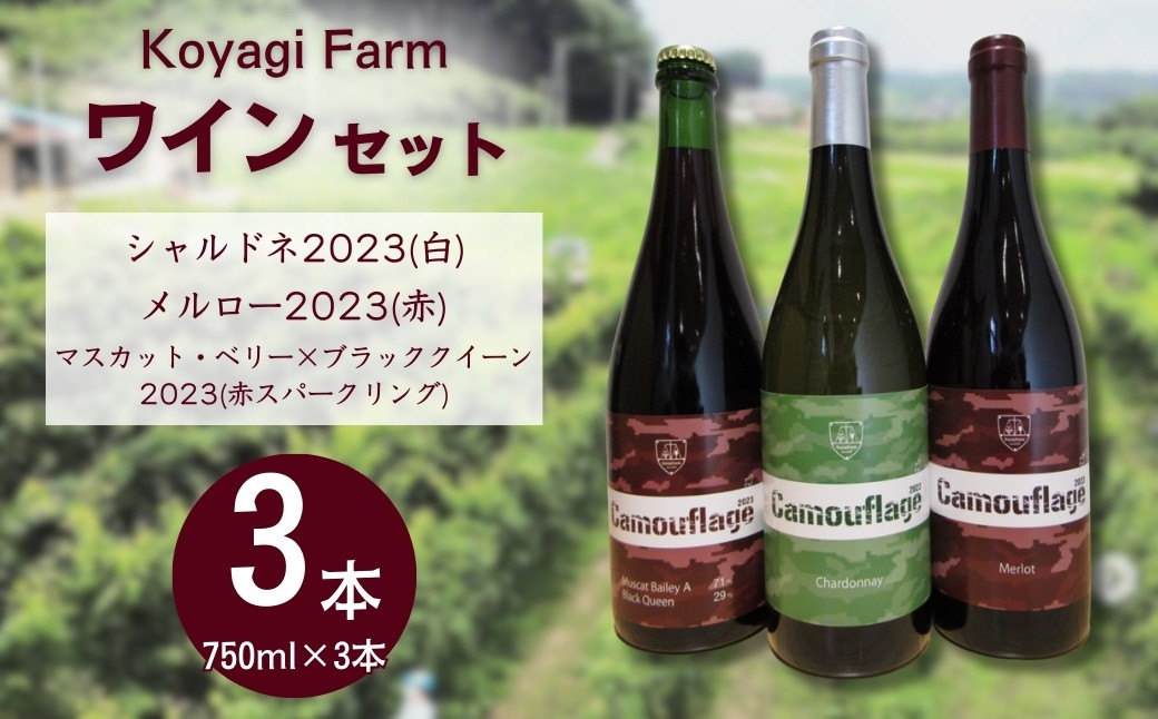 ワイン3本セット シャルドネ(白)＋メルロー(赤)＋マスカット・ベリー×ブラッククイーン(赤スパークリング)  | ワイン 国産