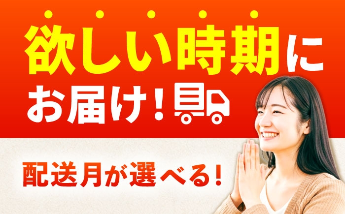 令和7年産 さがびより 20kg 5kg×4袋 佐賀県産 令和7年度産 米 おこめ お米 白米 こめ ライス rice kome
