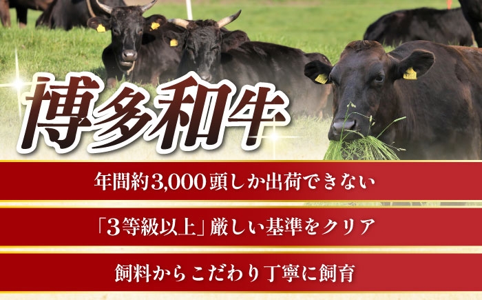 サーロイン ステーキ 博多和牛 肉 牛肉 高級 贅沢 ギフト